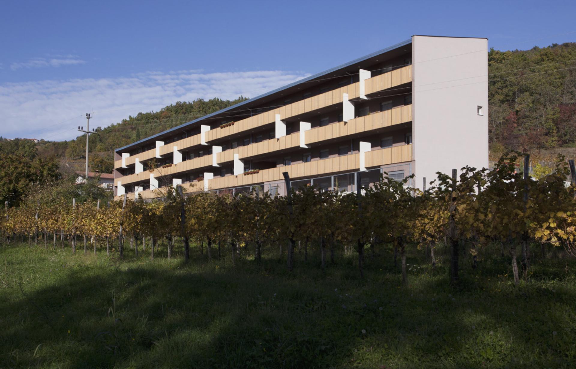 A nursing home in a vineyard. | Photo © Matevž Paternoster