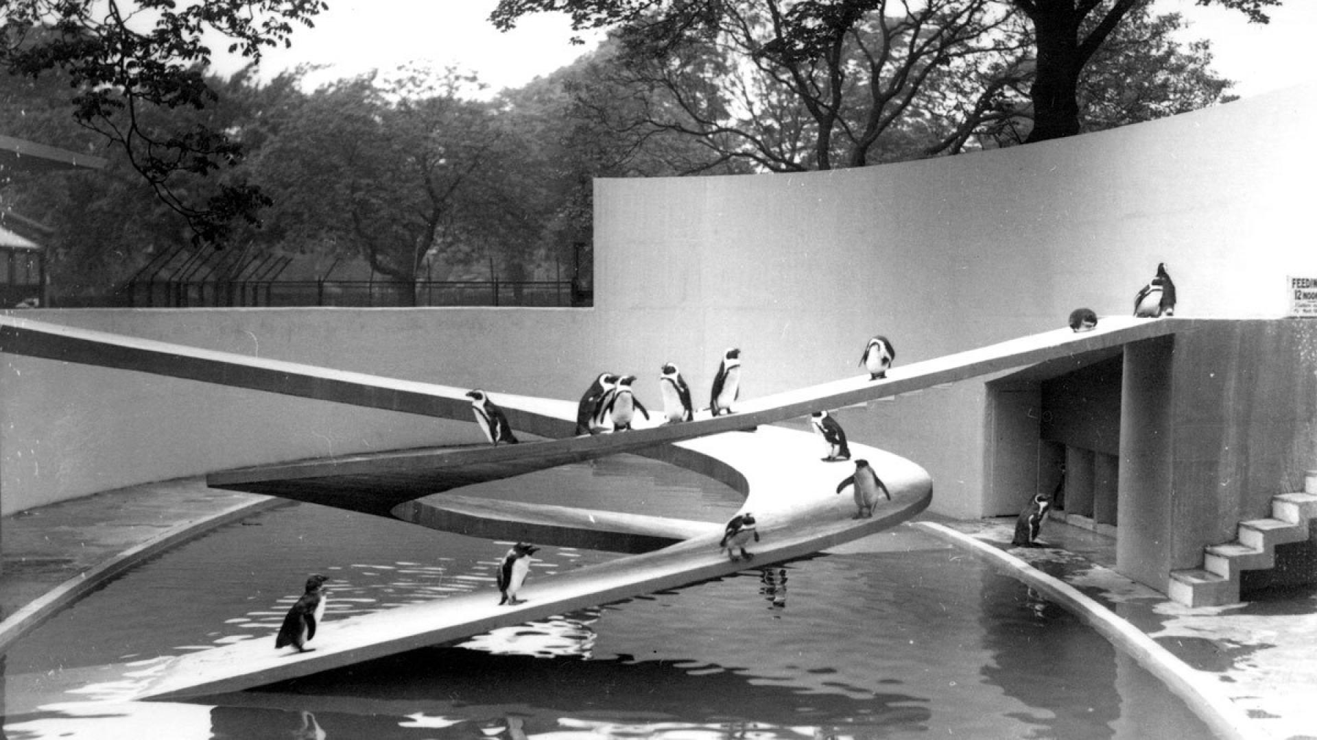 The spiral-ramped Penguin Pool in London’s Zoo. | Photo via Archeyes