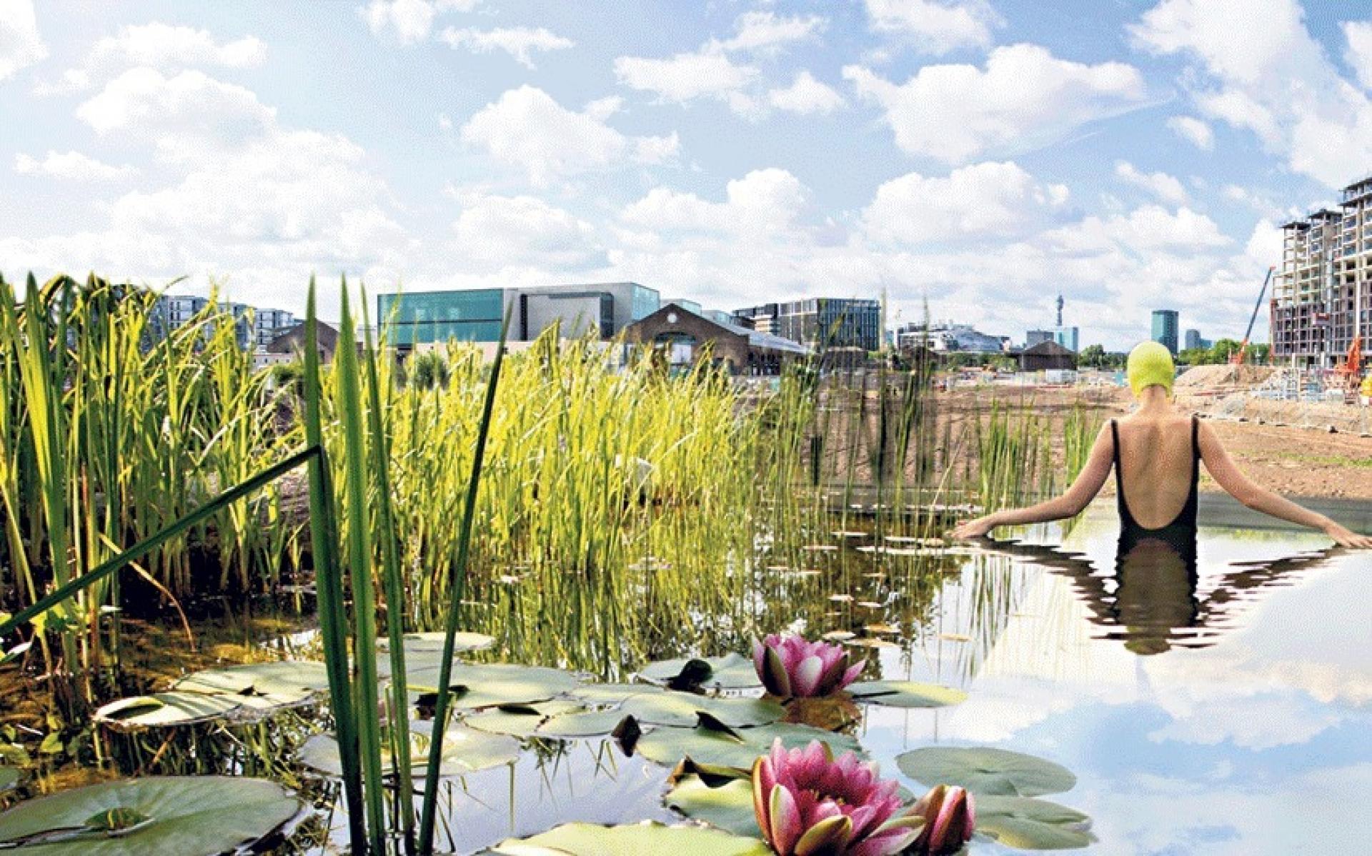 The site presents a landscape in motion, a theatre of ecological cycles: the water cycle, plant cycle and soil cycle. | Photo by Warren Allott