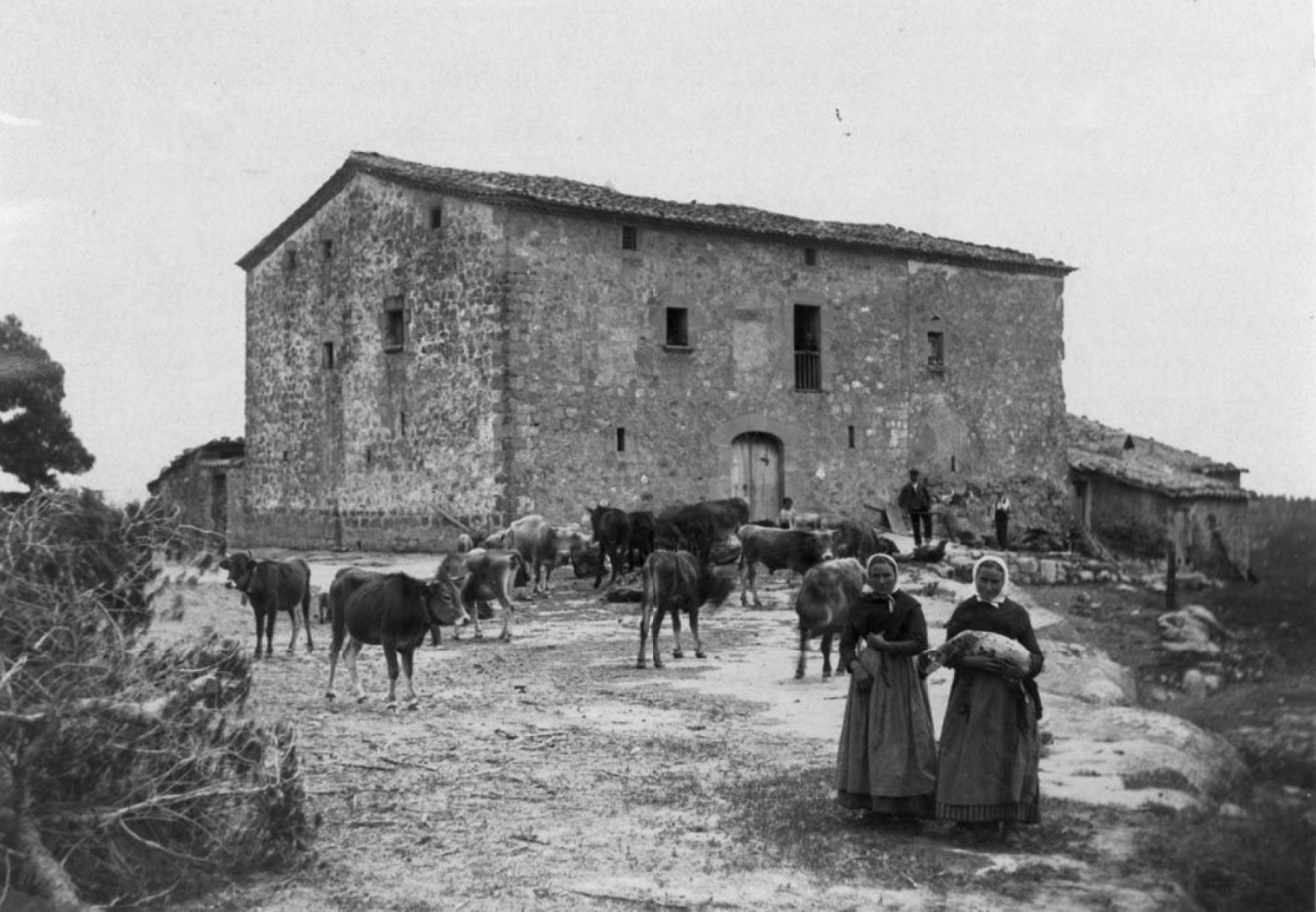 Women with a herd of bulls and cows in front of a farmhouse in Solsona | Photo © Lluís Vila i d’Abadal, Estudi de la Masia Catalana (C.E.C.)