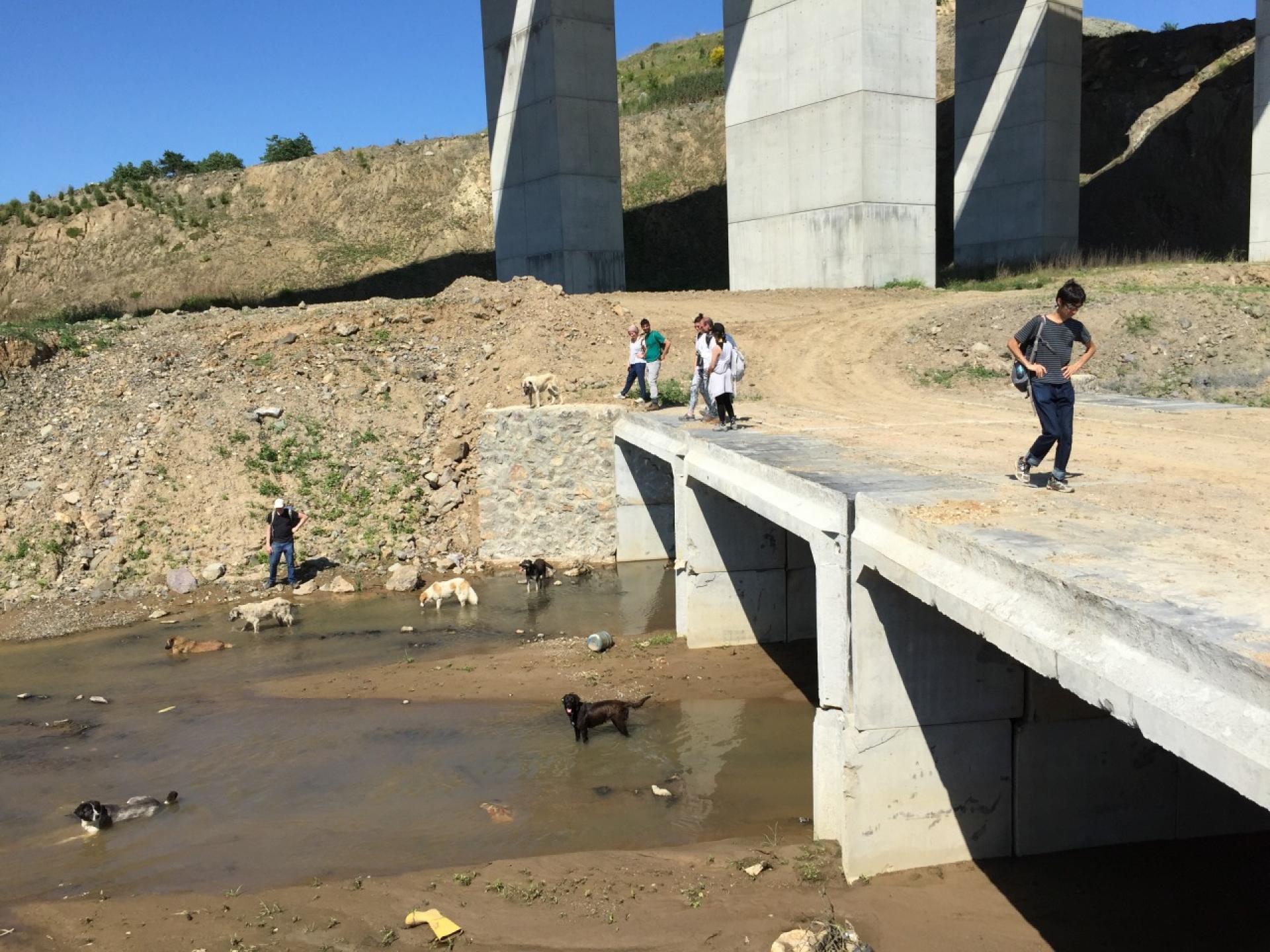 Walking over the bridge