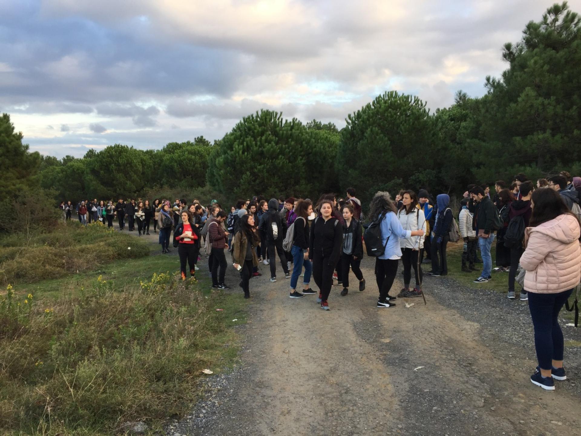 The walk of 250 people