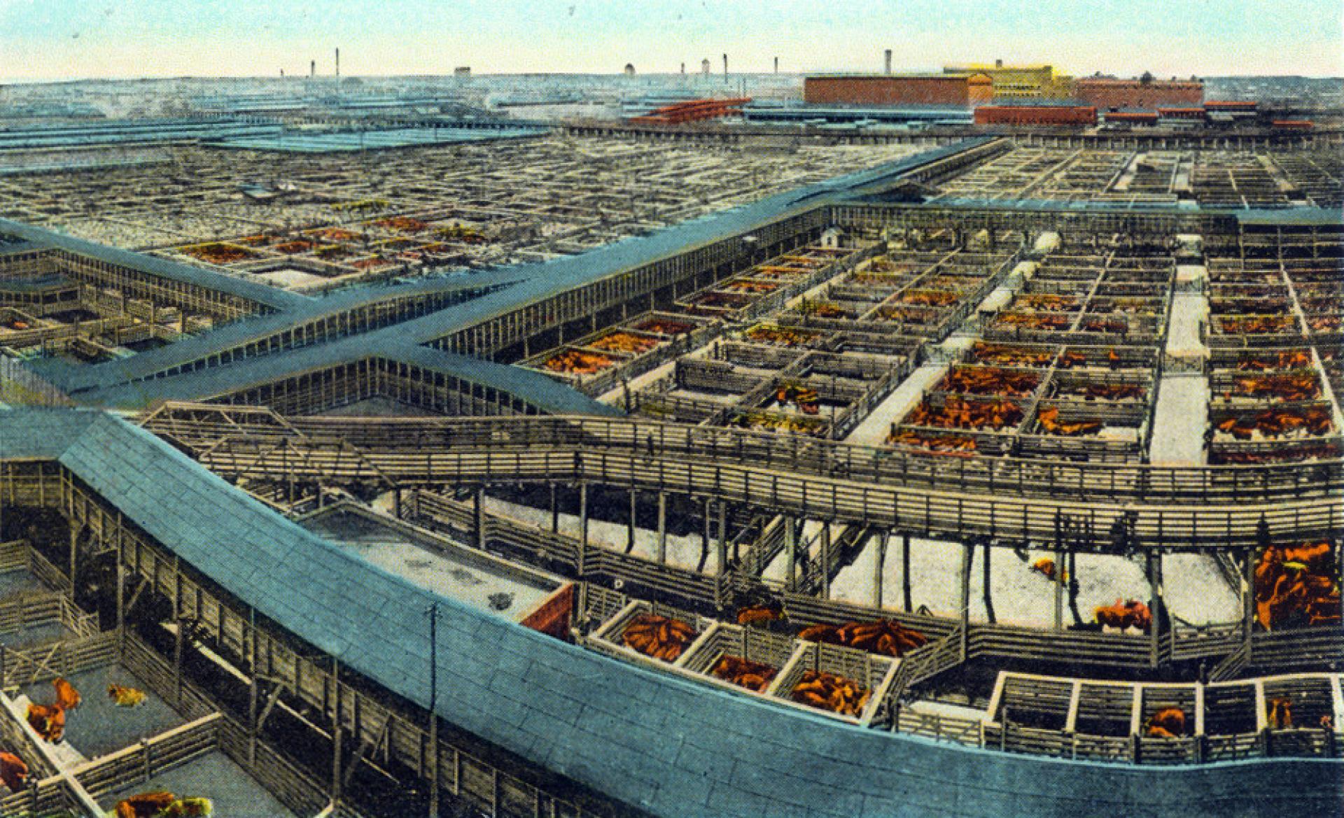 The birth of cheap meat: Chicago’s Union Stockyards in 1880. | Photo © Postcard, unknown origin