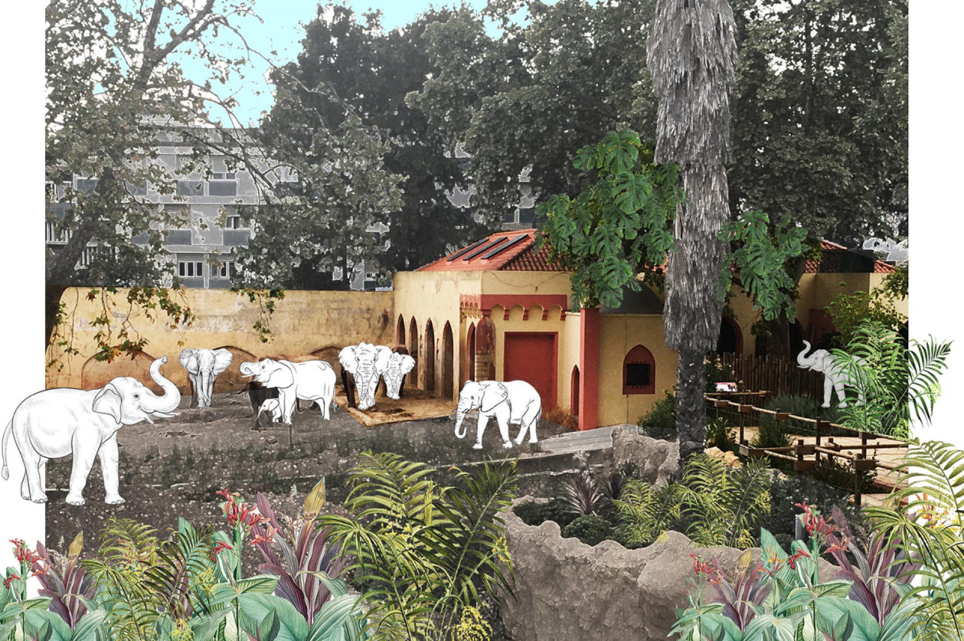The Elephants’ pavilion | Photo, illustration by the exhibition curatorial team