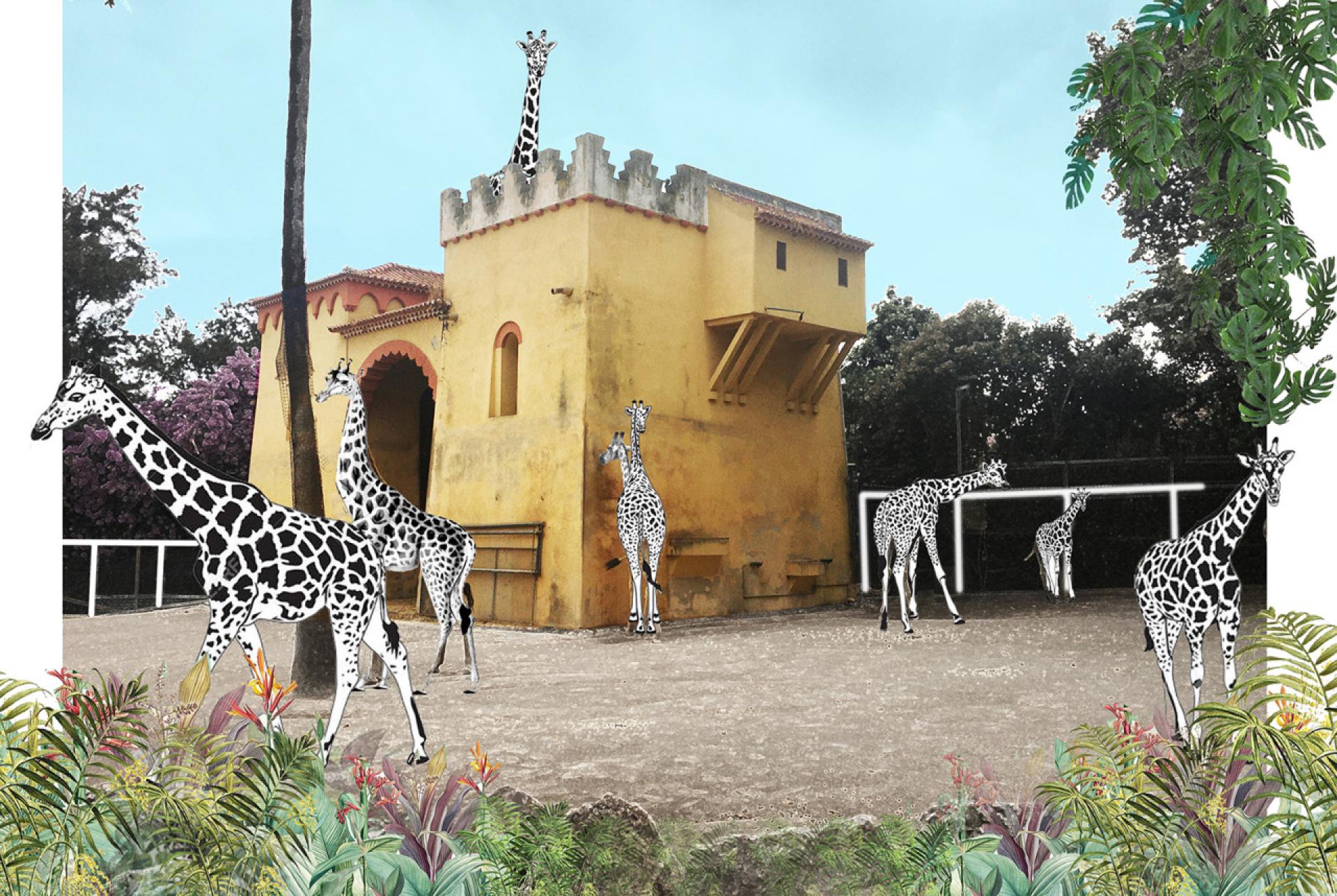 The Giraffes’ house | Photo and illustration by the exhibition curatorial team