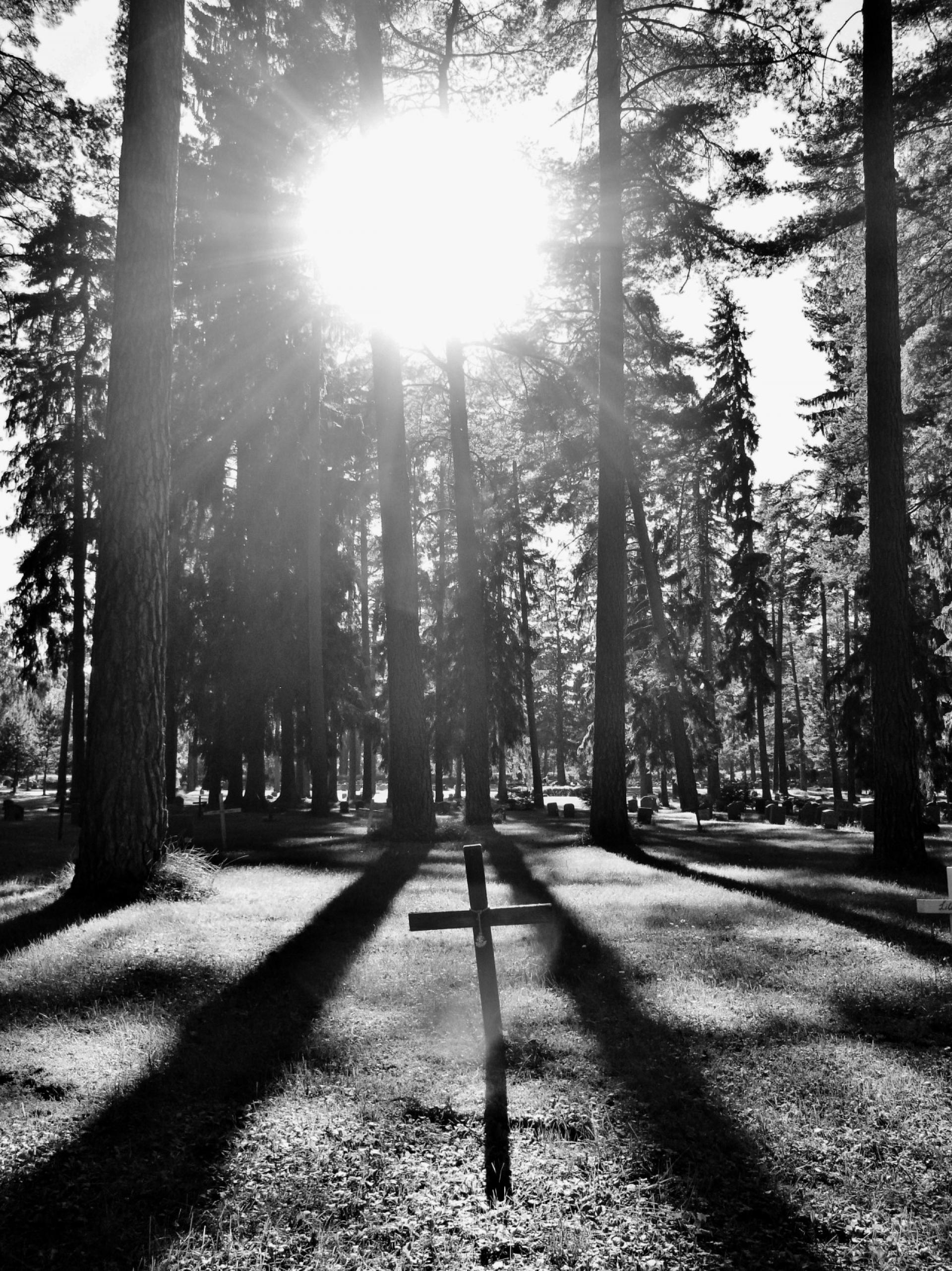 Woodland Cemetery graveyard. | Photo © Pedro Gabriel