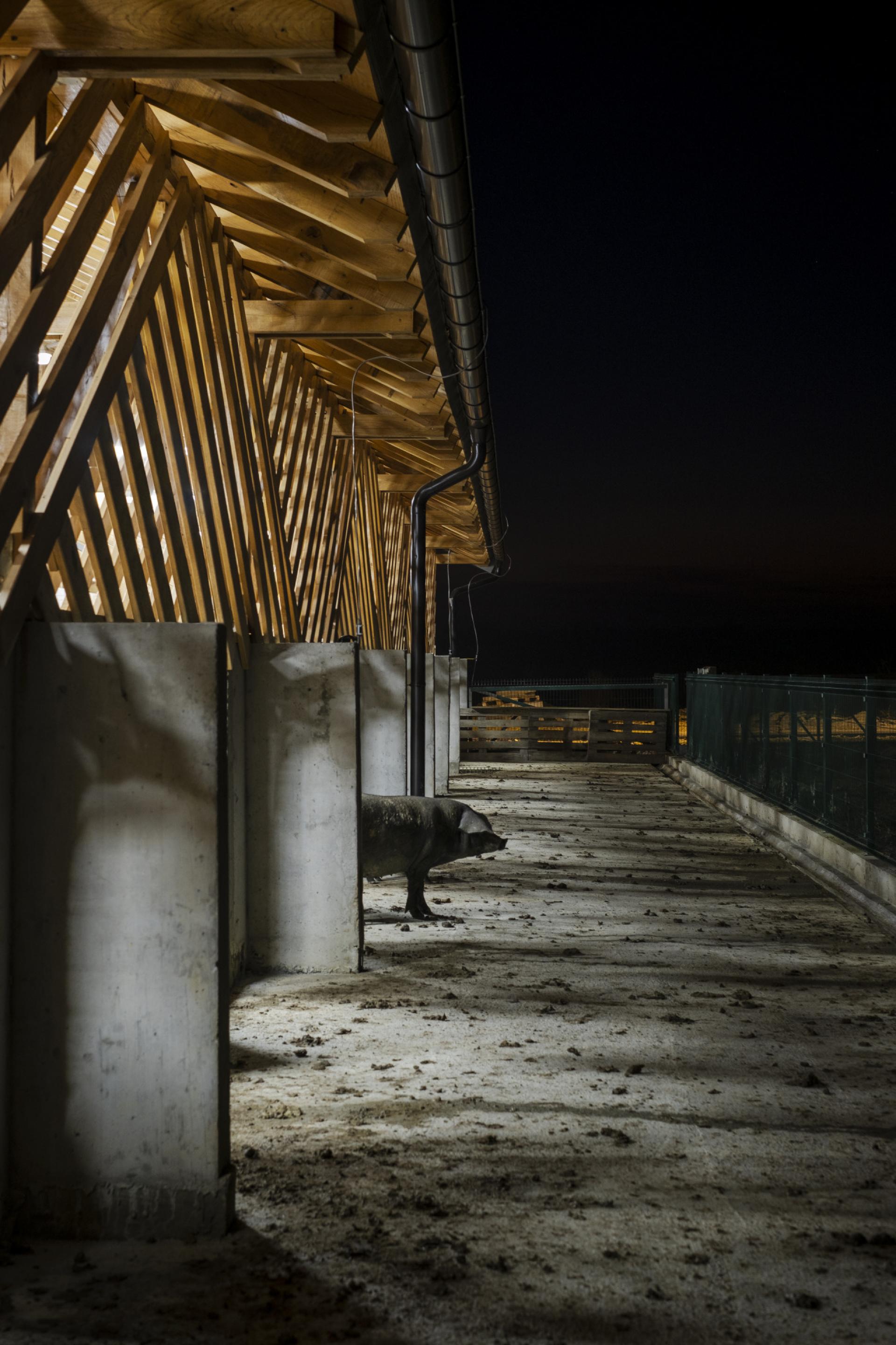 Stables in the farm are always open. | Photo © Dorotić+Bosnić
