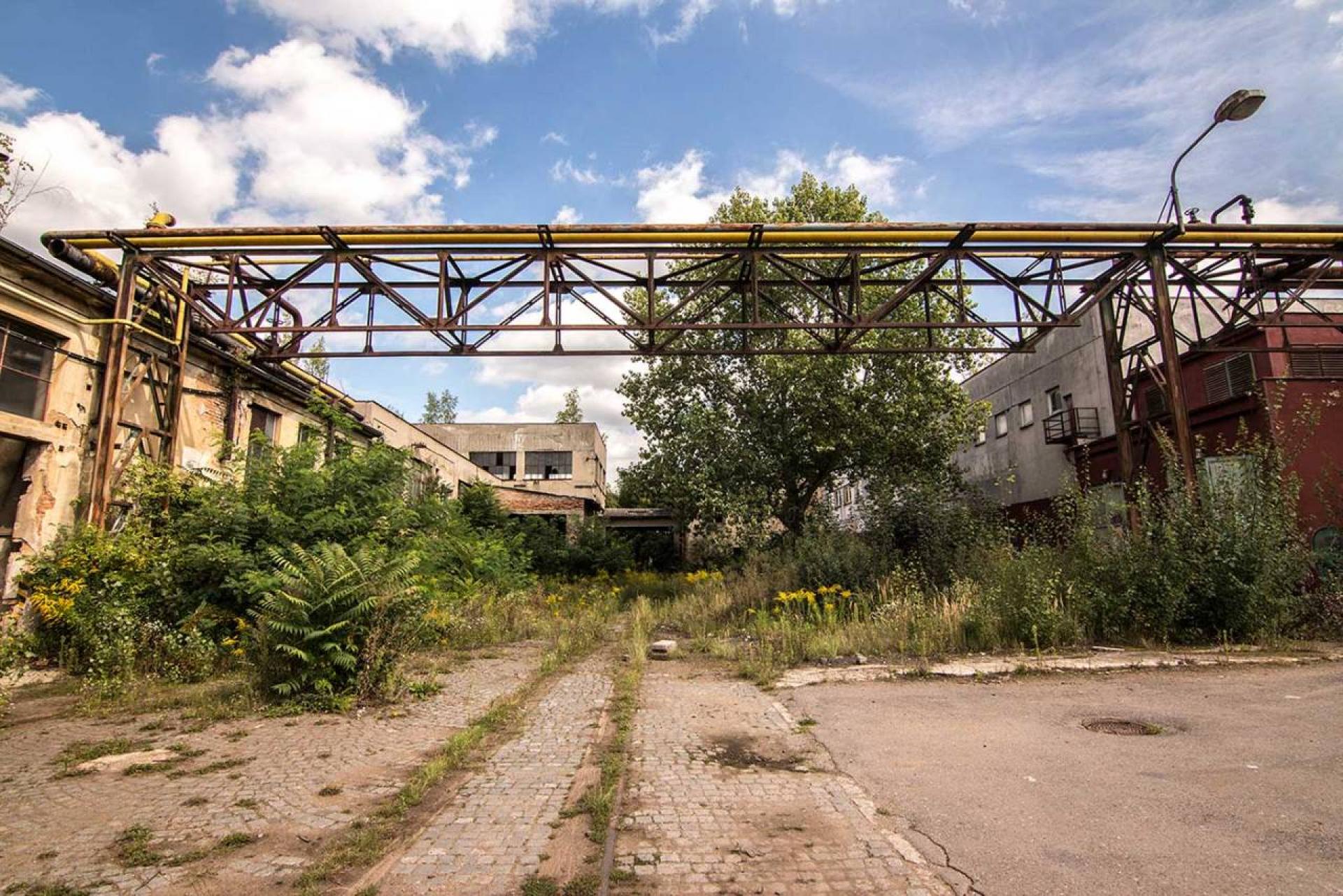 Raised gas pipes above an overgrown courtyard. | Photo Katka Havlíková