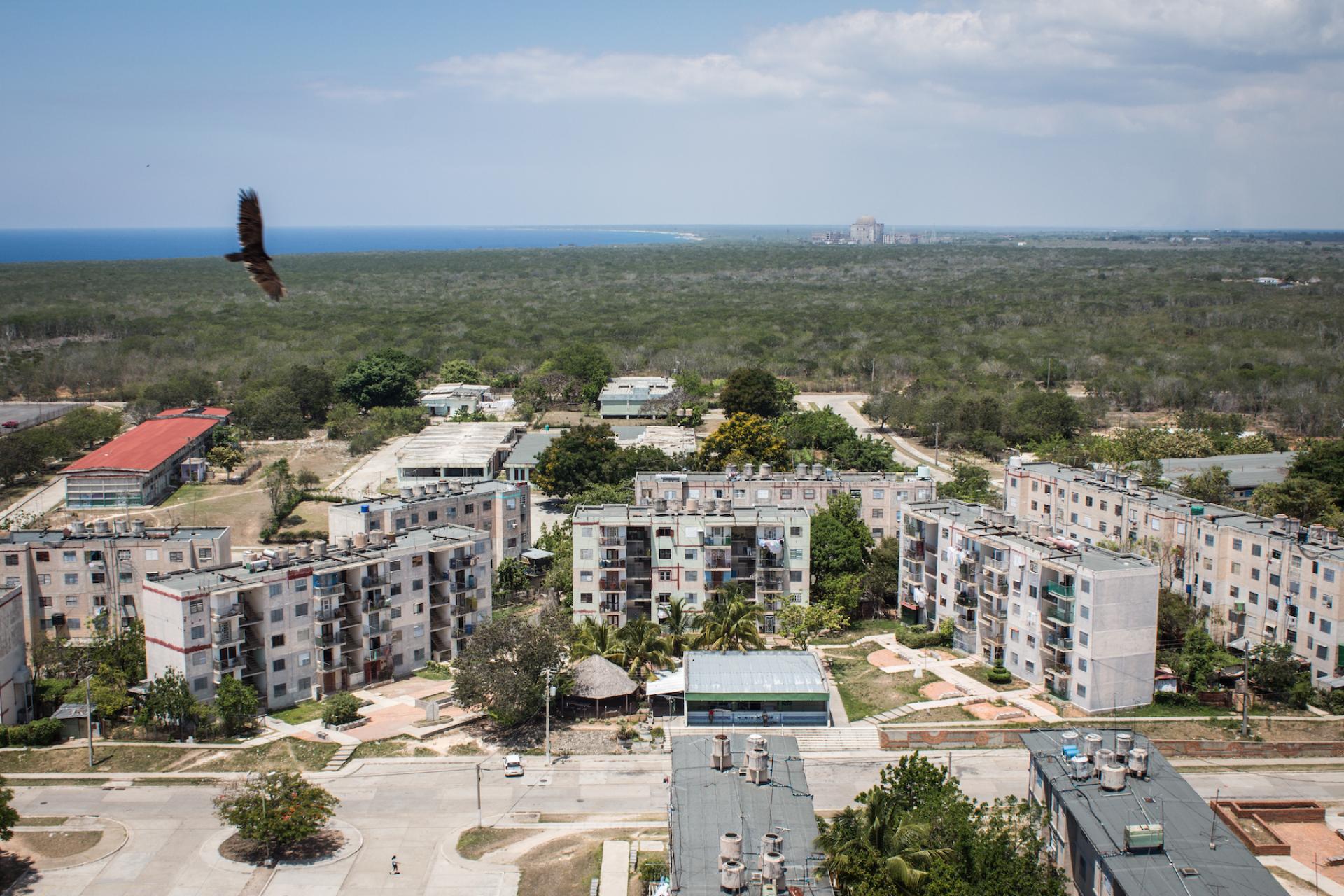 A Cuban turkey vulture circles over the quiet streets of Ciudad Nuclear.