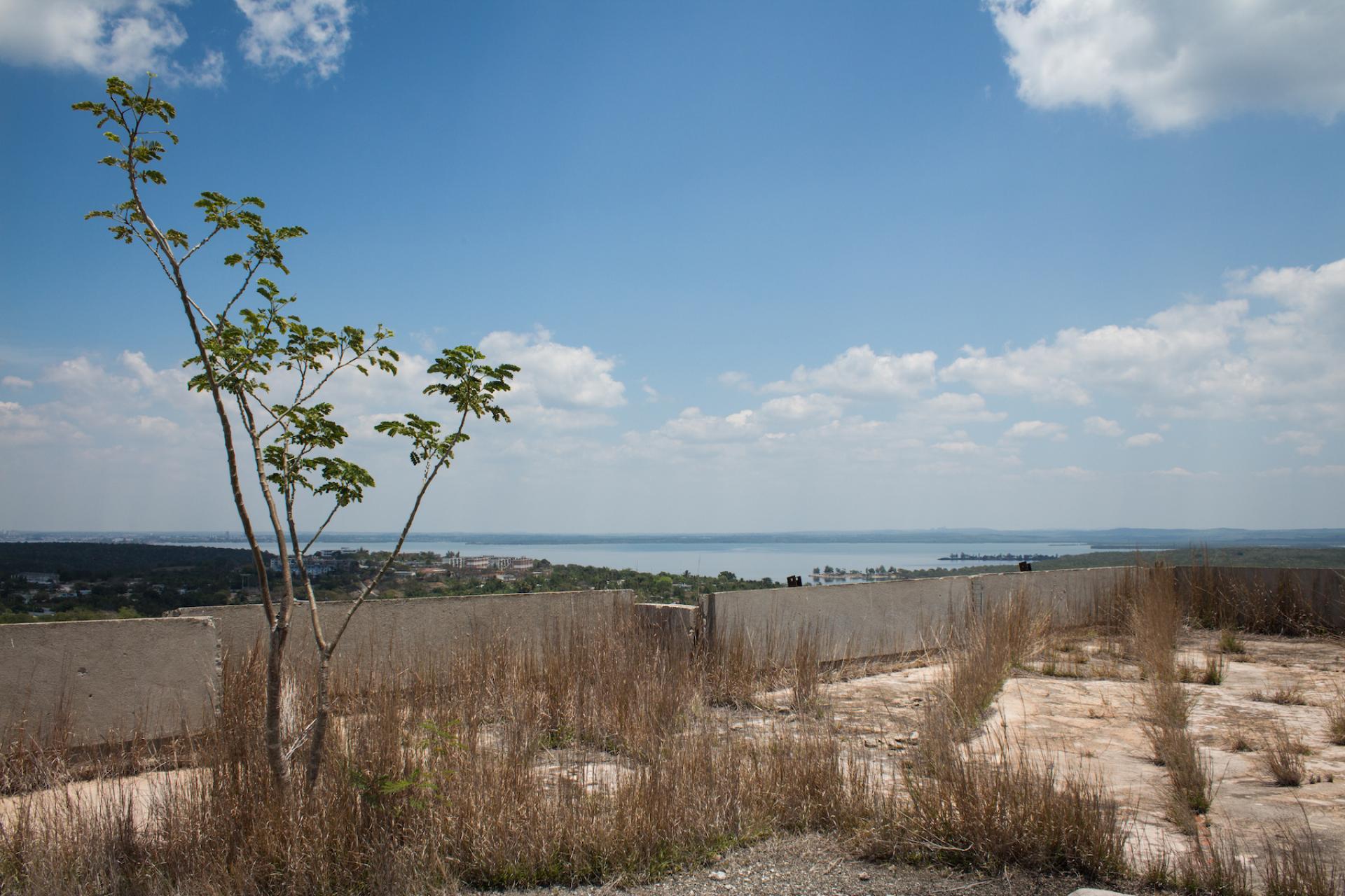 Nature is already reclaiming the rooftops of Ciudad Nuclear, Cuba.