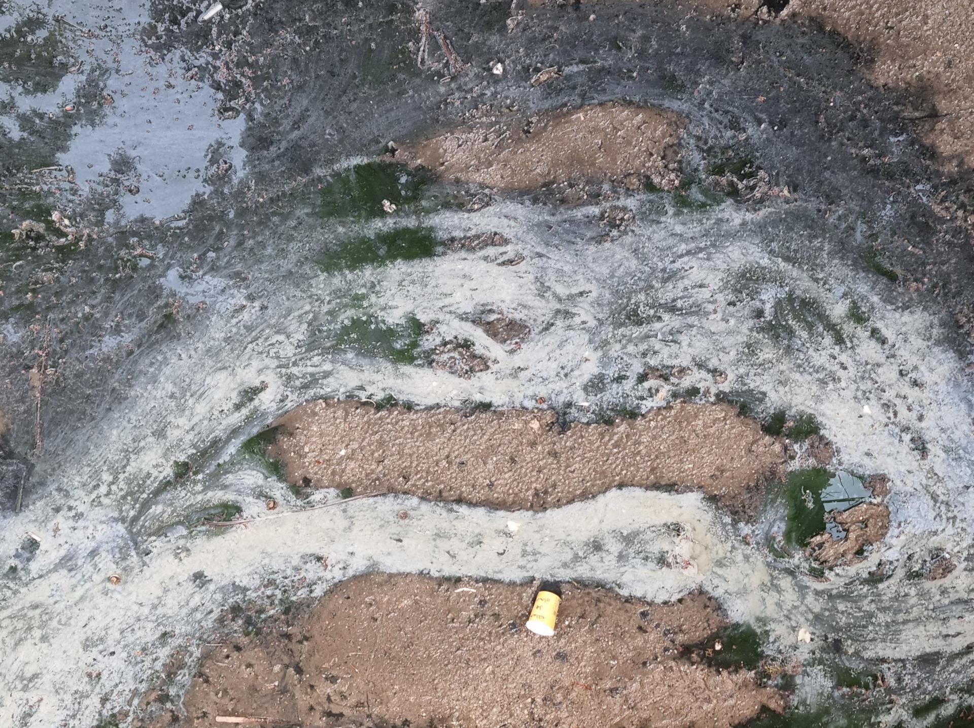 How can a river be both a victim of and a witness to the fragile urban reality flowing through the city?