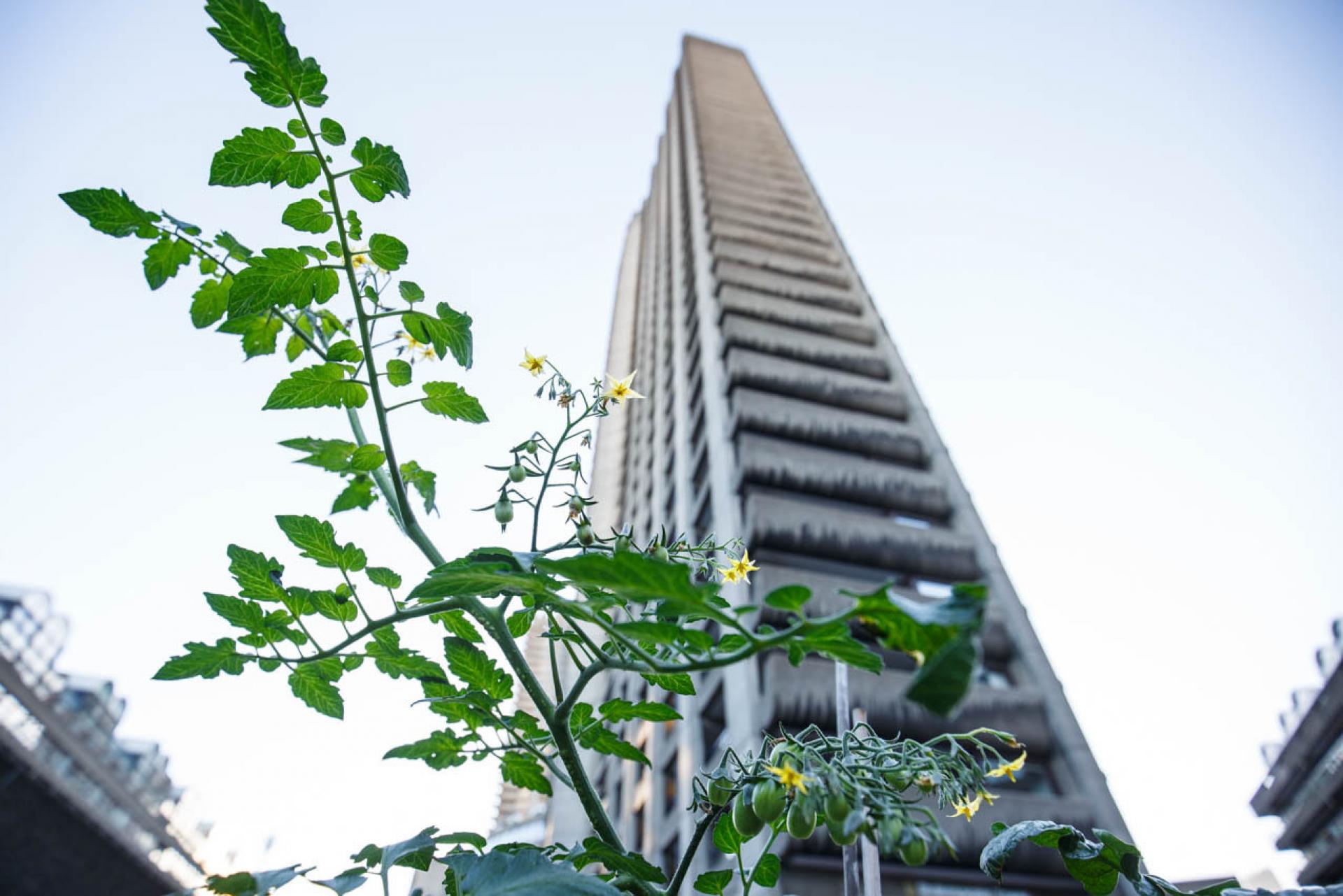 Barbican in London is a concrete oasis in the middle of the city. | Photo by Domen Grögl