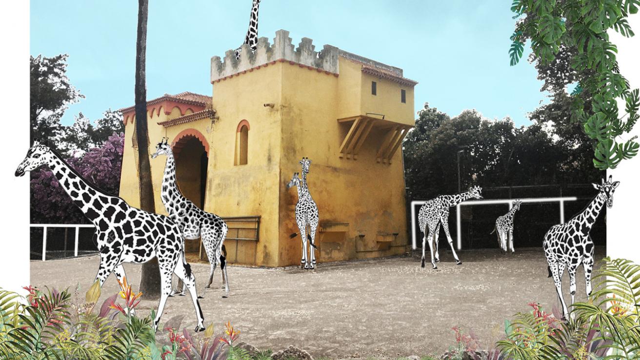 Zoo Story: The Future